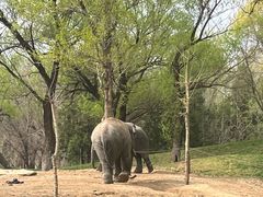 -北京野生动物园