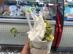 绿茶-柠檬车露(卖草地店)