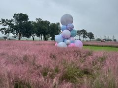 -汉长安城未央宫国家考古遗址公园