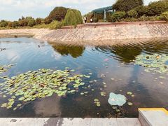 -上海辰山植物园