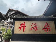 -燊海井