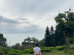 -南沙蒲洲花园