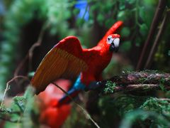 -Sony Store索尼(广州正佳店)