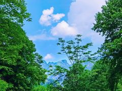 -陕西省红河谷森林公园