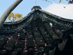 -上海醉白池公园