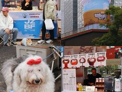 -合景·悠方(成都店)
