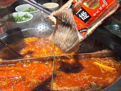 陈眼镜特色毛肚-陈眼镜火锅(总店)