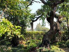 -Chom Cafe and Restaurant