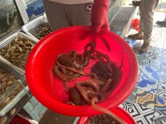 -常家活海鲜小吃(仅一家无分店)