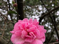 -华南国家植物园-售票处