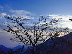 -崂山巨峰游览区