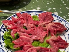-五里关火锅(上海鑫耀·光环Live店)