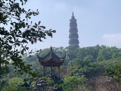 -顺峰山公园