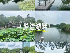 -无锡蠡湖国家湿地公园-蠡园