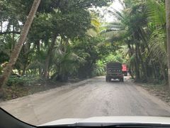-东郊椰林