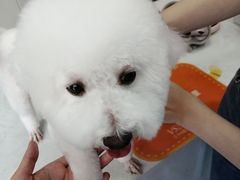 -创凡宠物医院·骨专科  猫科中心(西乡分院)