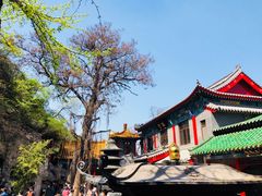 -千佛山风景名胜区
