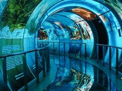 -房山世界地质公园博物馆