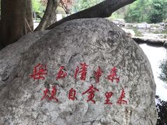 -神仙树公园