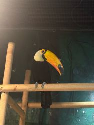 -Zoolung Zoolung动物主题公园(海信广场店)