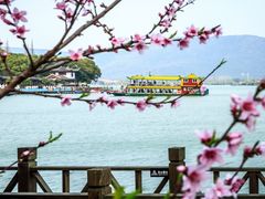 -尚湖风景区