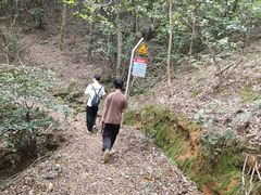 -广州市帽峰山景区