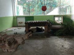 -石家庄市动物园