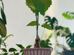 -fishtank鱼缸咖啡(三山街店)