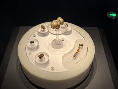 -广西壮族自治区博物馆