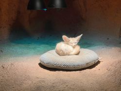 -酷嗒动物文化乐园(cutezoo西溪乐天城店)