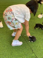 -萌宠亲子动物乐园(槐房万达店)