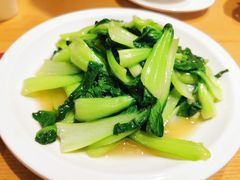 时令青菜-安天民北方饺子(白石洲店)