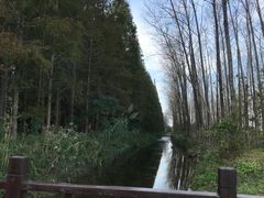 -黄海国家森林公园