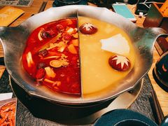 红颜花胶鸡锅-湊湊火锅·茶憩(石家庄万象城店)