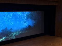 -北京大学百年讲堂