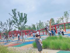 -春花秋色城市公园