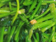 -阿里元老宋海鲜大排档(明发店)