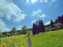 -武陵山森林公园