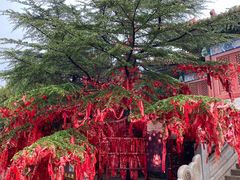 -龙口南山旅游景区