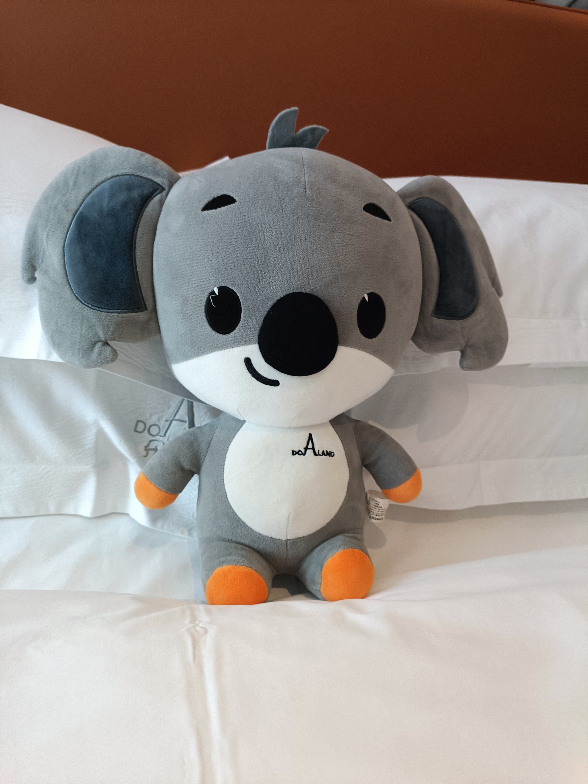 太喜欢这个考拉了 服务超级棒