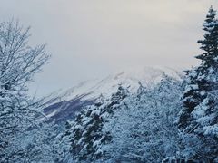 -富士山吉田線五合目