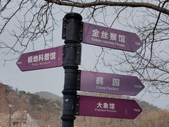-大连森林动物园