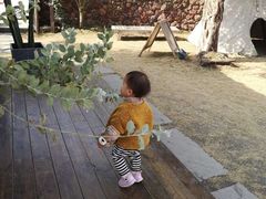 -悦哉·派对·草坪婚礼·围炉煮茶(三圣乡店)