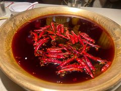 -小龙坎火锅(全球旗舰店)