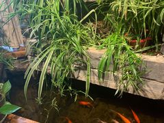 -有才叔的小馆(高新咖啡街区店)