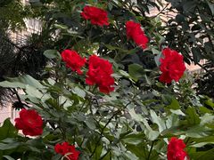 -木塔寺遗址生态公园