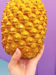 -动力星球家庭亲子游乐中心