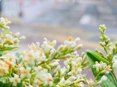 -王红军龙虾(新民路店)