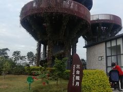 -芒洲湿地公园