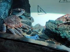 -沈阳海洋探索中心